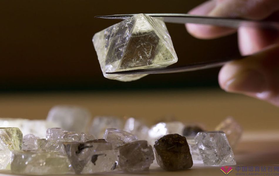 来自 Alrosa 钻石矿的毛坯钻石。